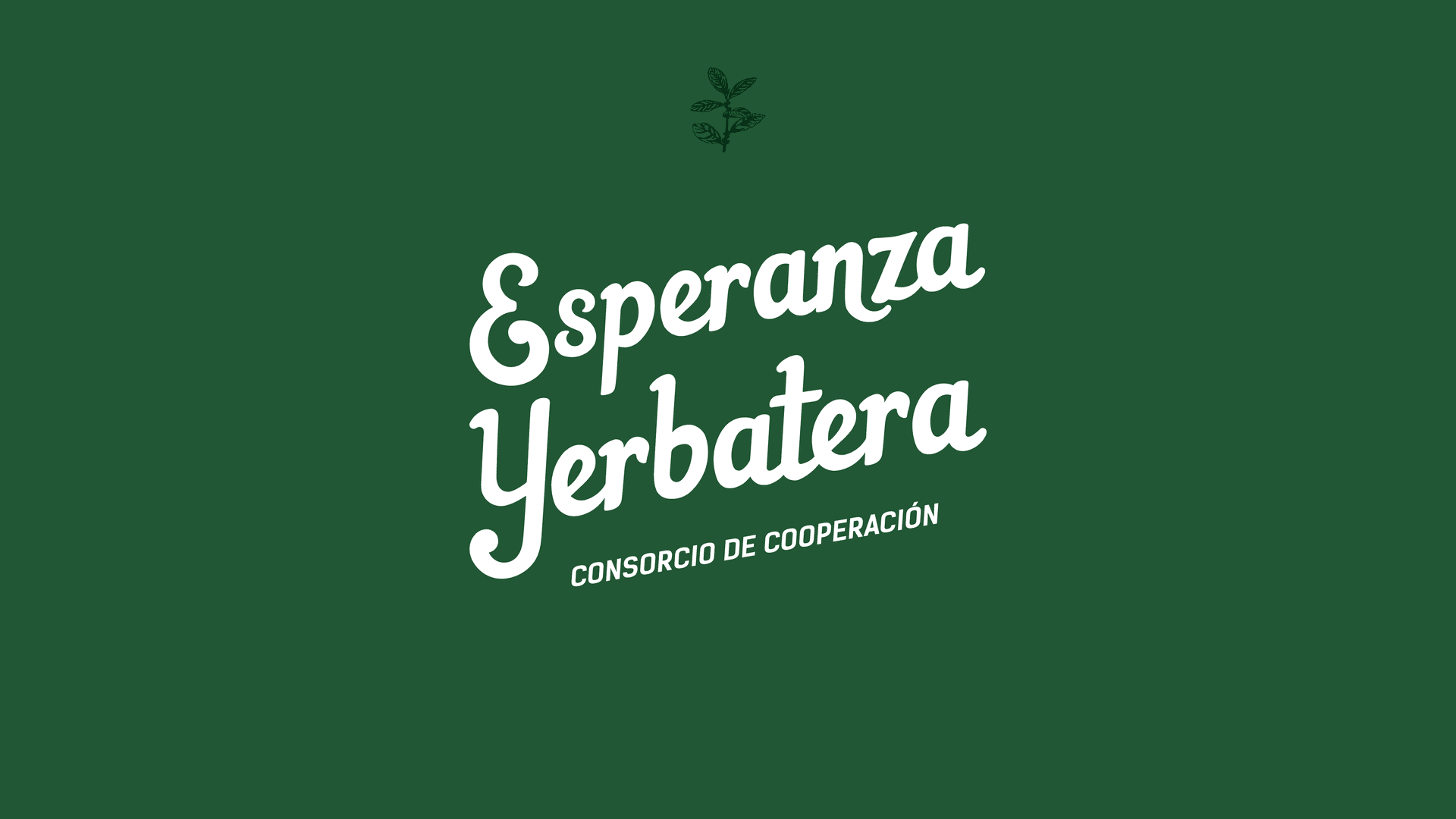 Galería 6