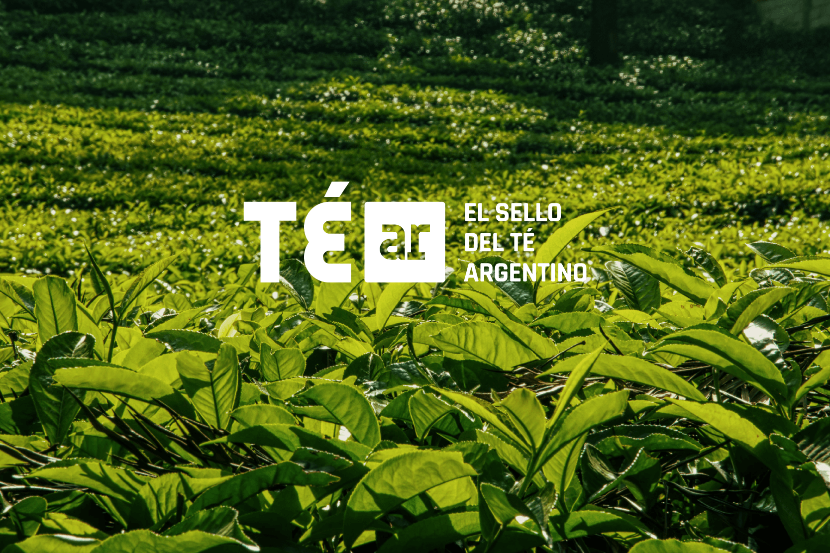 Sello del té argentino