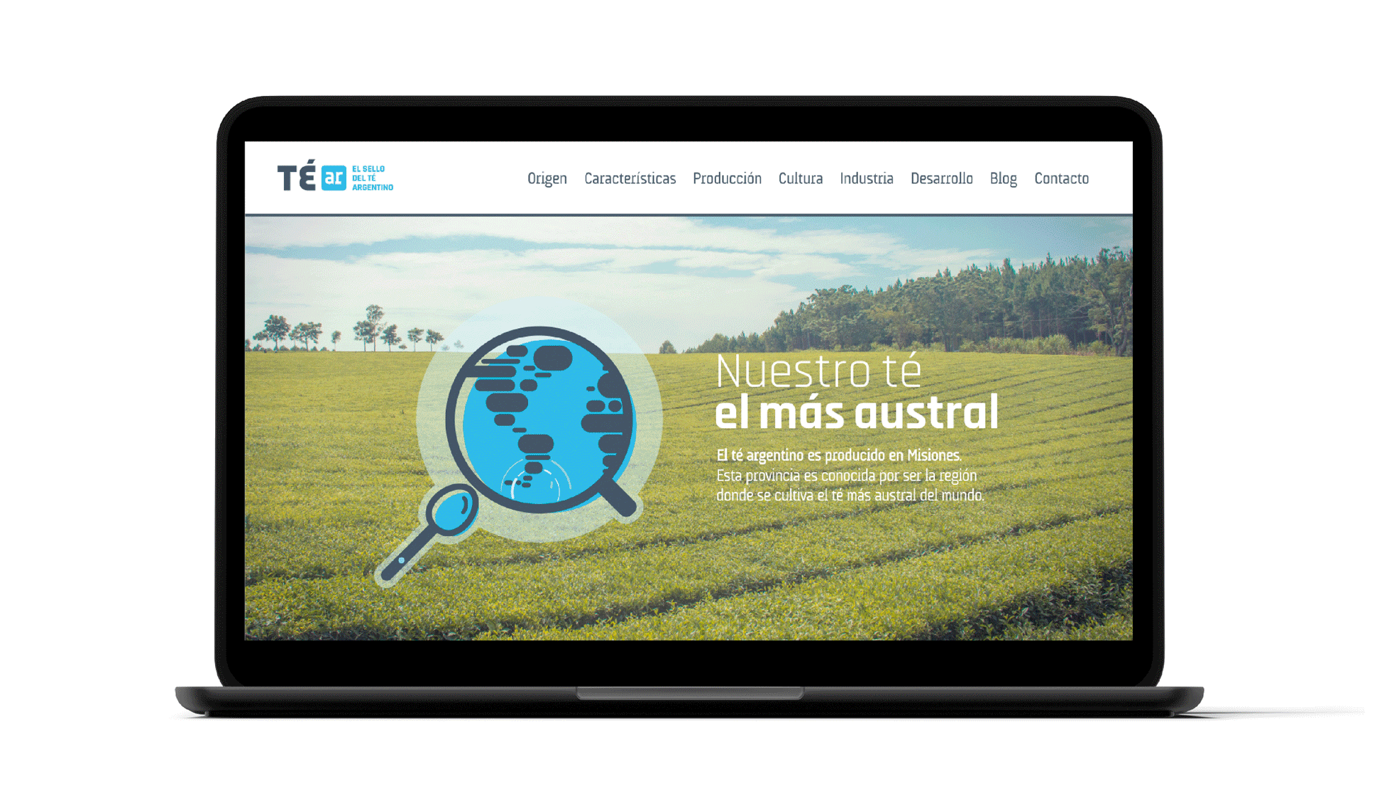 Galería 2